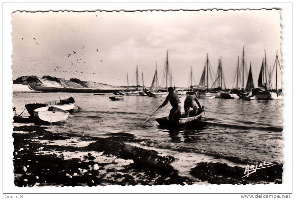 17 - Ile D'Oléron - La Cotinière - Le Port - Editeur: Arjac N° 78 - Ile D'Oléron