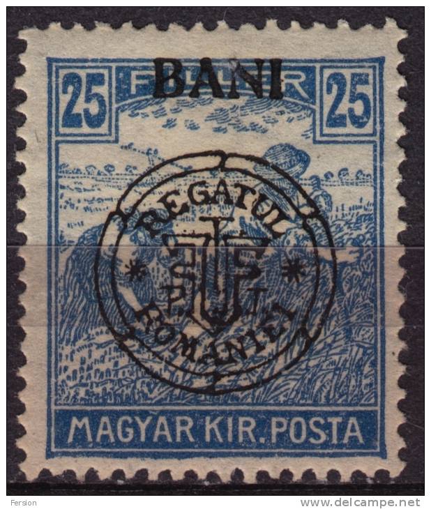 1919 Roman Occupation - Hungary - Kolozsvár / Cluj - 25 F - MH / Transylvania - Siebenbürgen (Transsylvanien)