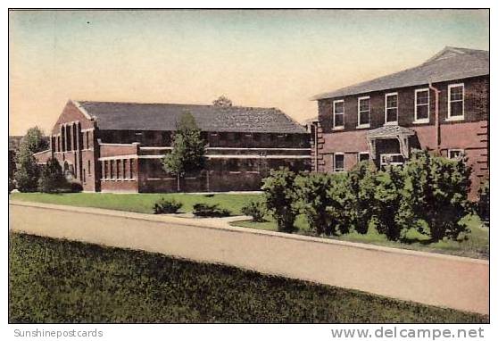 Arkansas Searcy Gymnasium &amp; Administration Building Morris School Handcolored Albertype - Andere & Zonder Classificatie