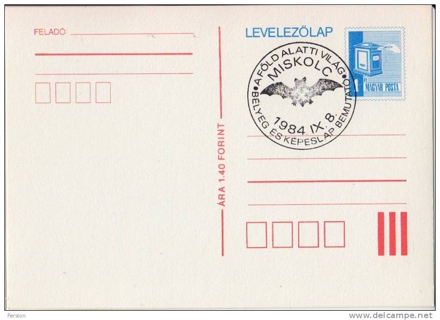 BAT - 1984 HUNGARY - "undervorld" Stamp Exhibition - MISKOLC - Commemorative Stamping - STATIONERY - POSTCARD - Fledermäuse