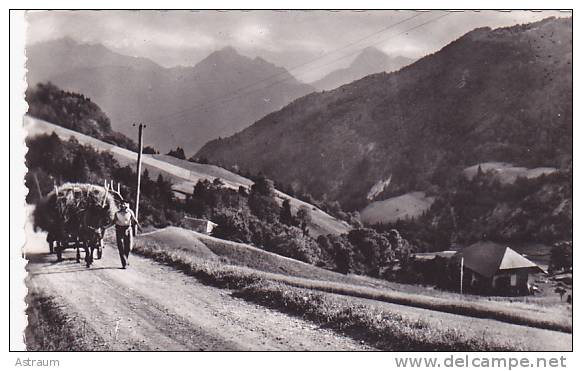 Cpa-74-montmin-- Hameau De La Perrière-animée Avec Attelage D'ane-edi Hotel Du Chardon Bleu N°12 - Sonstige & Ohne Zuordnung