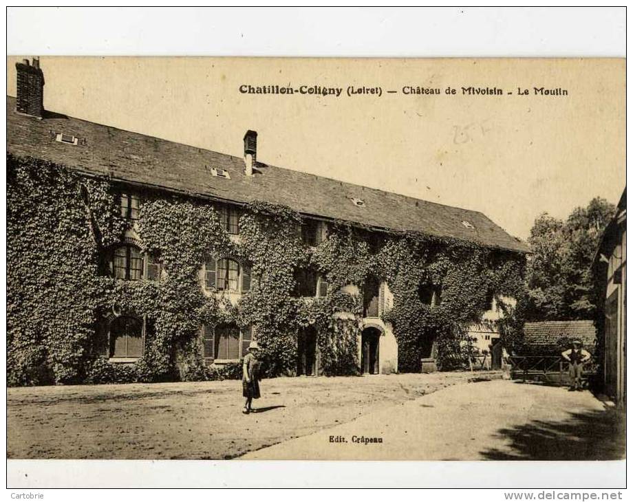 45- CHATILLON-COLIGNY- Chateau De Mivoisin-Le Moulin-animée - Chatillon Coligny