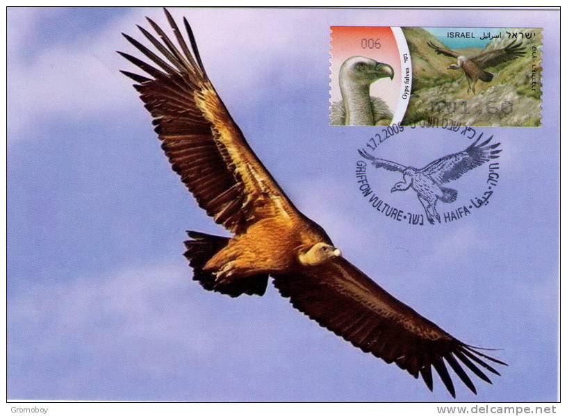 Griffon Vulture (Gyps Fulfus) ATM (006) MC Maximum Card - Cartoline Maximum