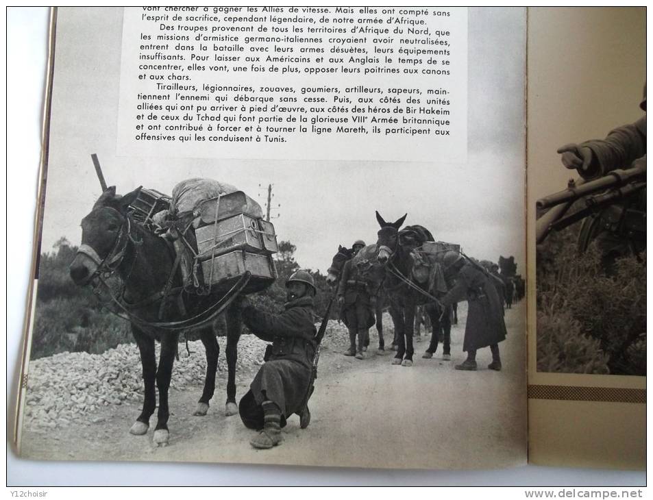 REVUE 1944 DU TCHAD AU RHIN FEZZAN TRIPOLI TRIPOLITAINE TUNISIE GUERRE 1939 1945 JEEP - Francese