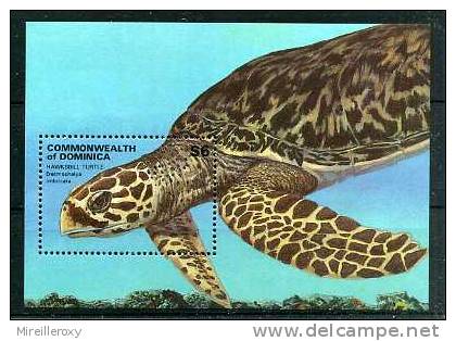 BLOC FEUILLET DOMINICA TORTUE - Turtles