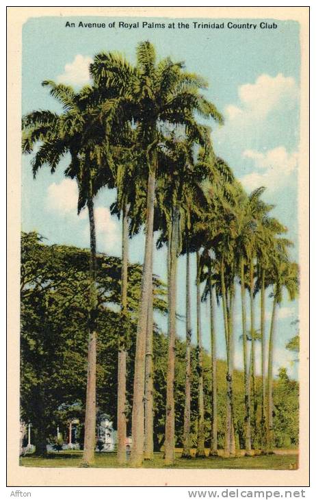 Country Club Trinidad BWI Old Postcard - Trinidad
