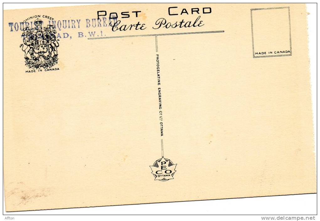 Botanical Garden Port Of Spain Trinidad BWI Old Postcard - Trinidad