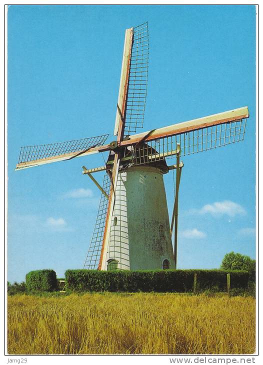 Nederland/Holland, Biggekerke, Korenmolen, Ca. 1980 - Veere