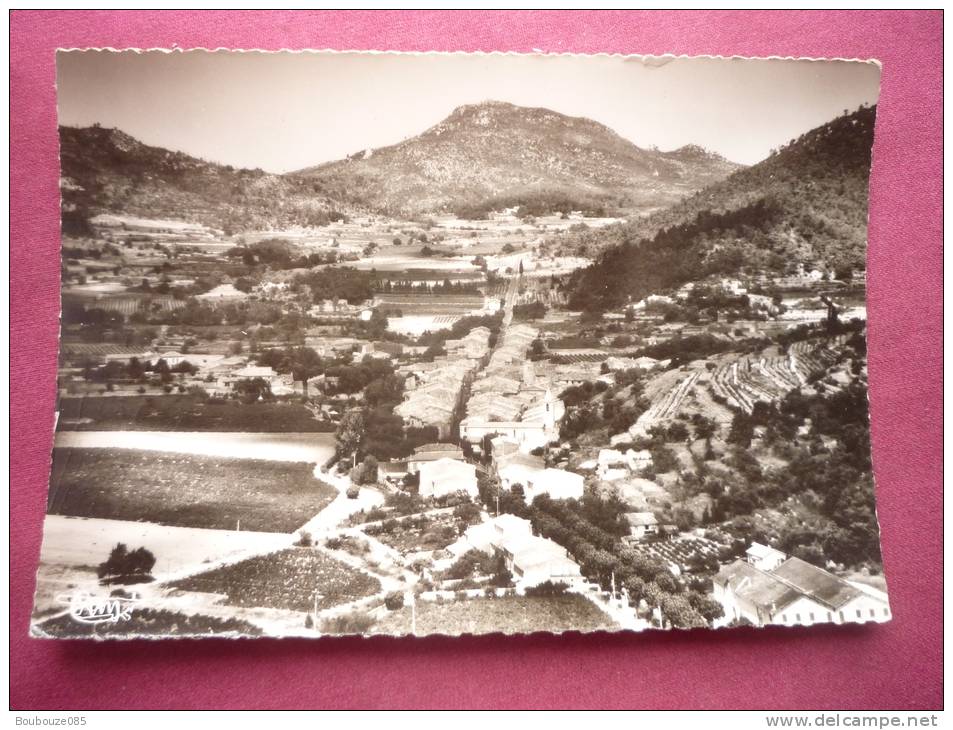 La Roquebrussanne ( 83 ) Vue Panoramique - La Roquebrussanne