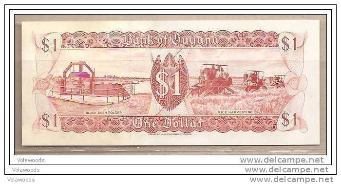 Guyana - Banconota Non Circolata Da 1 Dollaro P-21g.1 - 1992 - Guyana