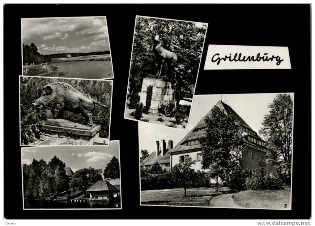 AK Grillenburg/Tharandt, Bad, Wildschwein, Gondelteich, Kurheim, Ung, 1972 - Tharandt