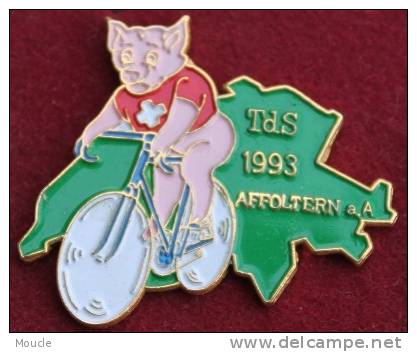 TOUR DE SUISSE VELO 1993 AFFOLTERN A.A - COCHON SUR UN VELO - CARTE DE SUISSE VERT - CYCLISTE   -  CYCLISME -    (VERT) - Ciclismo