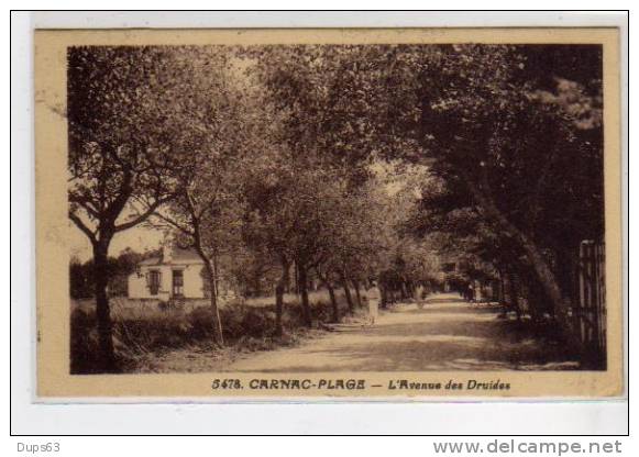 CARNAC PLAGE - L'Avenue Des Druides - Très Bon état - Carnac