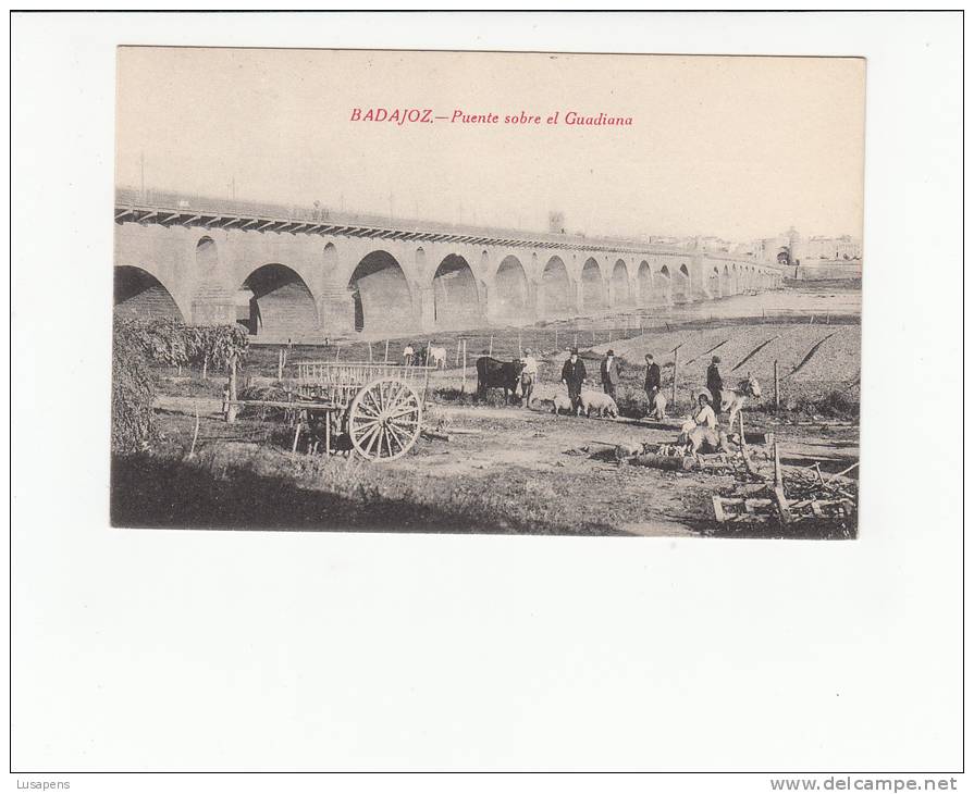 ESPAÑA - [OF #11818] - BADAJOZ - PUENTE SOBRE EL GUADIANA - ESCENAS TIPICAS CARRO BURRO CERDOS - Badajoz