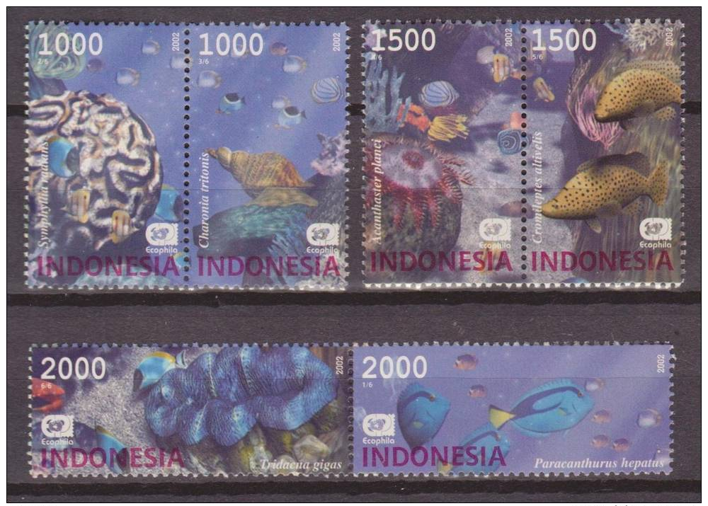 Indonesia, 2002, Maritime Life, Sealife, Set Of 6 Stamps, MNH, *** - Maritiem Leven