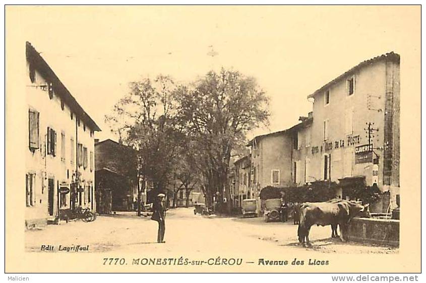 DEPTS DIV- Tarn - Ref -F901-monesties Sur Cerou - Avenue Des Lices  - Carte Bon Etat - - Monesties