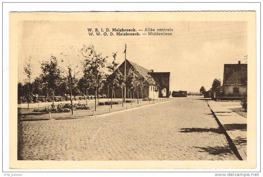 Postkaart / Carte Postale "Melsbroeck - Allée Centrale / Middenlaan" - Steenokkerzeel