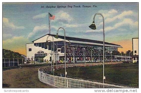 Florida Tampa Sulphur Springs Dog Track Curteich - Tampa