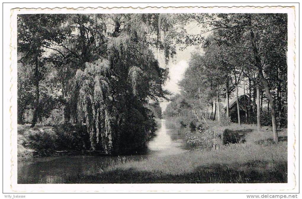 Postkaart / Carte Postale "Kasterlee - Langs De Mooie Nete Boorden" - Kasterlee