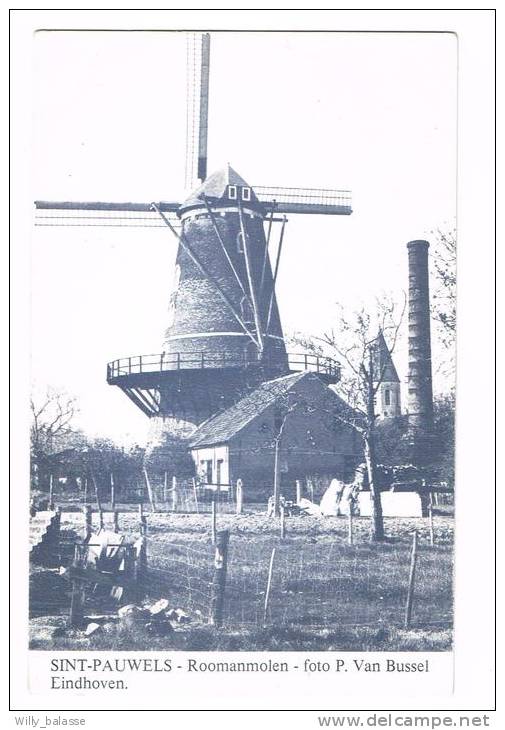 Postkaart / Carte Postale "Sint-Pauwels - Roomaanmolen" - Sint-Gillis-Waas