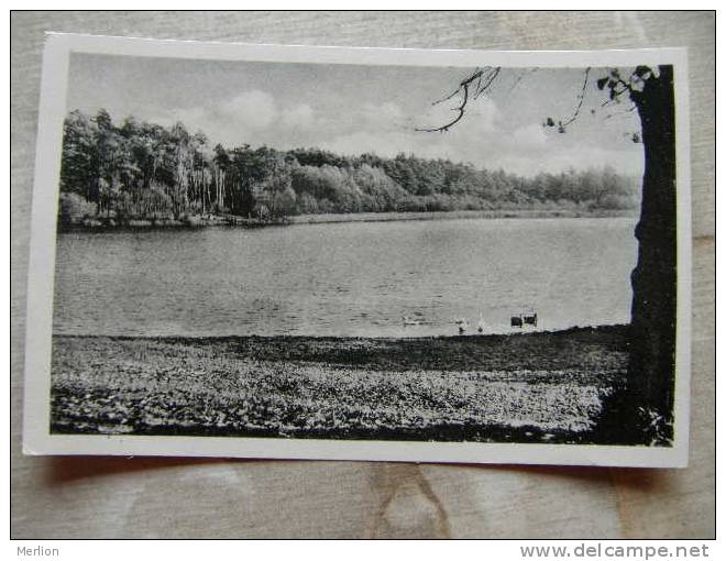 Waldsee - Probst-Jesar   - Lübtheen  Meckl.       D98514 - Bad Waldsee