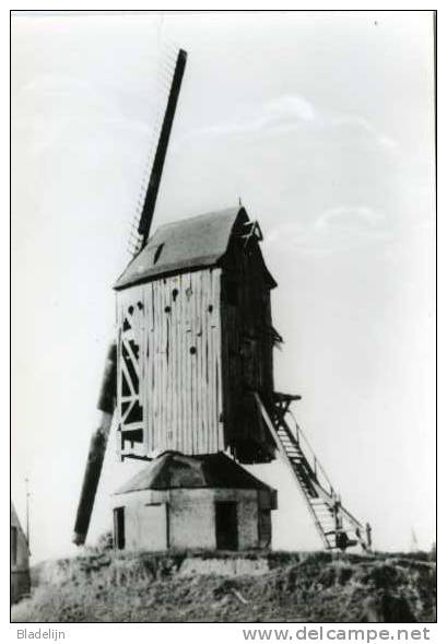 GIJVERINKHOVE (W.Vl.) - Molen/moulin - Oudere Zwart-wit Kaart (1970) Van De Molen, In 1973 Verplaatst Naar Oostvleteren - Alveringem