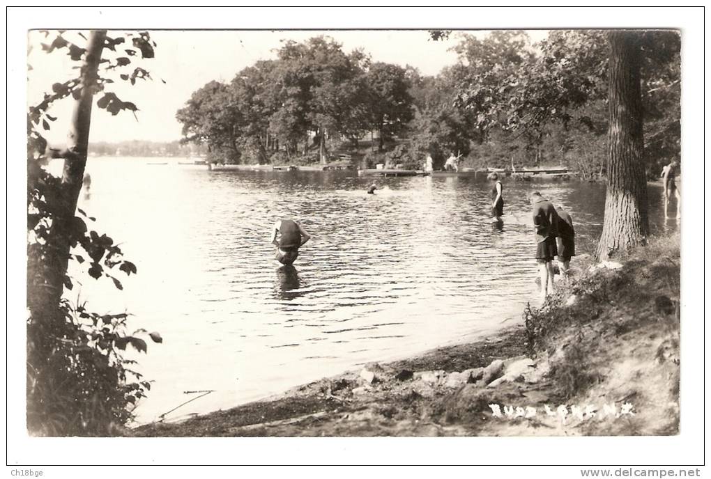 Carte Photo  : New  Jersey : Budd Lake  :  Lake , Trees , Swimmers .... Lac , Arbres , Nageurs ... - Autres & Non Classés