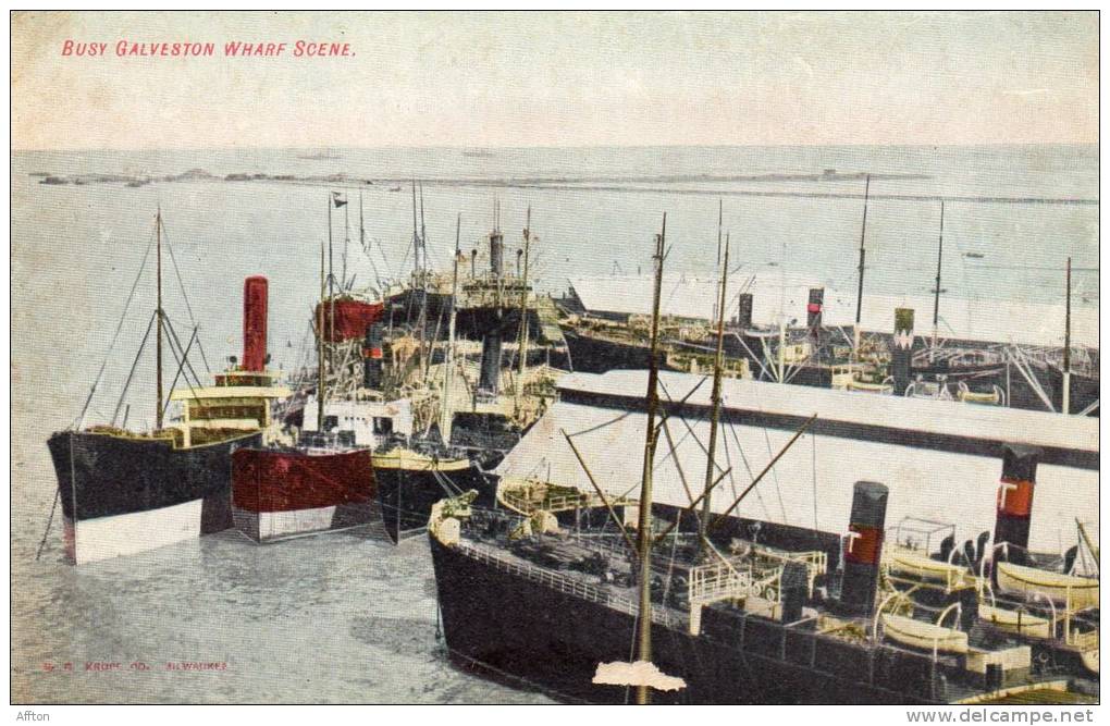 Busy Wharf Scene Galveston TX 1905 Postcard - Galveston