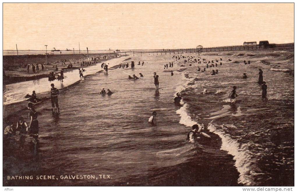 Bathing Scene Galveston TX 1905 Postcard - Galveston