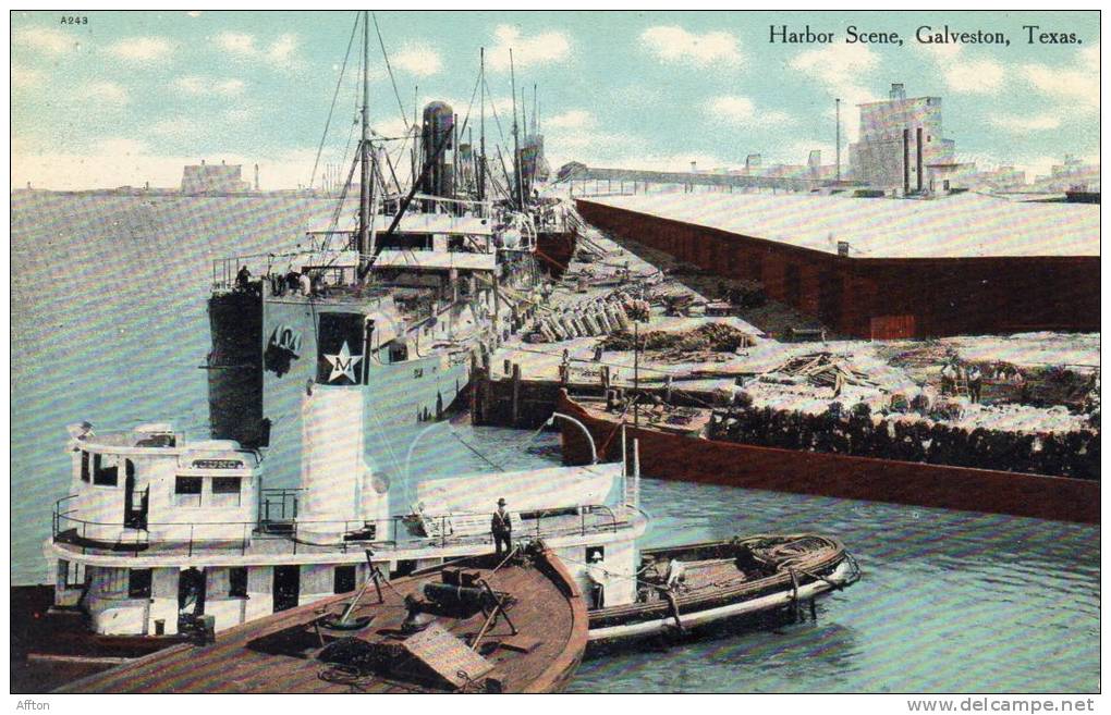 Harbor Scene Galveston TX 1905 Postcard - Galveston