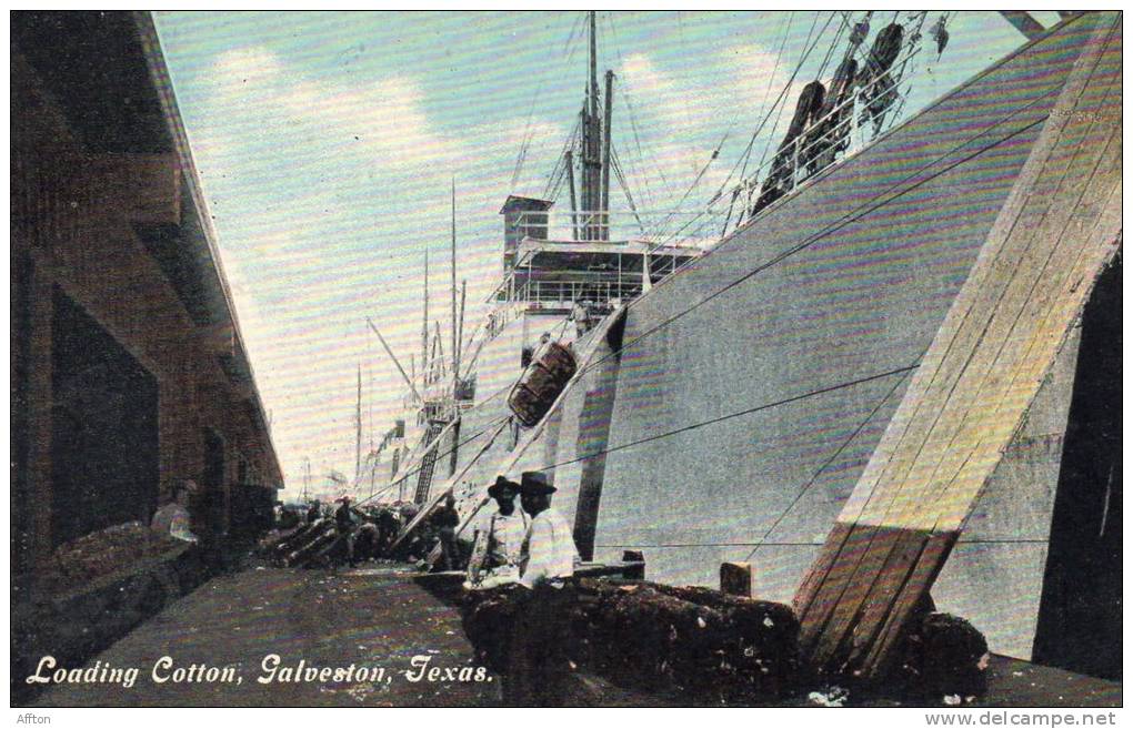 Loading Cotton Galveston TX 1905 Postcard - Galveston