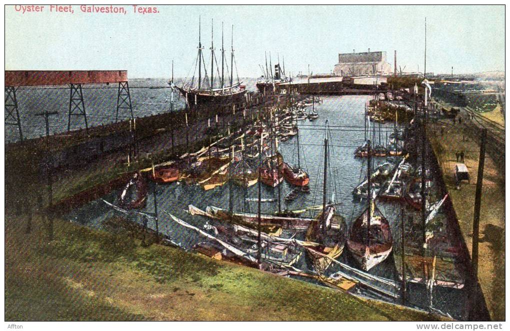 Oyster Fleet Galveston TX 1905 Postcard - Galveston