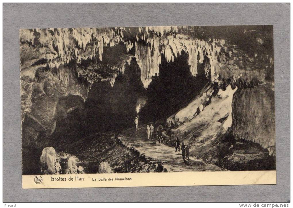 35984     Belgio,   Grotte  De  Han -  La  Salle  Des  Mamelons,  NV - Rochefort