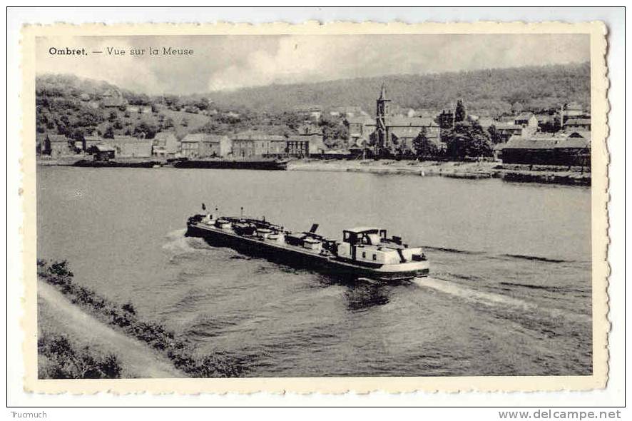 D10776 - Ombret - Vue Sur La Meuse  *bateau* - Amay