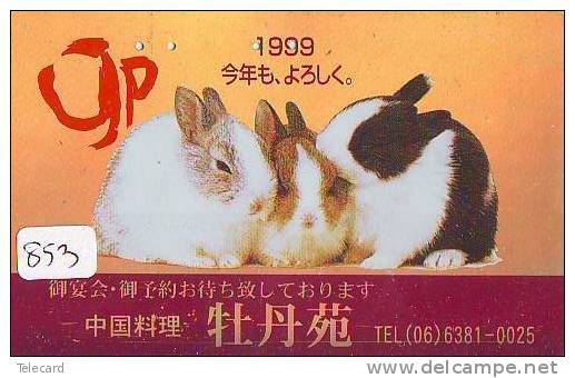 Télécarte Japon * LAPIN (853) RABBIT * PHONECARD JAPAN * KANINCHEN * KONIJN * CONEJO * TELEFONKARTE - Konijnen