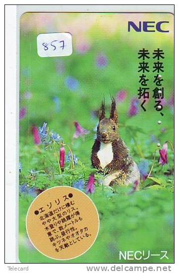 Télécarte Japon * LAPIN (857) RABBIT * PHONECARD JAPAN * KANINCHEN * KONIJN * CONEJO * TELEFONKARTE - Rabbits