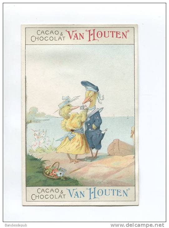 VAN HOUTEN  JOLIE CHROMO FORMAT CPA DEUX CANARDS AMOUREUX CANARD ANTHROPOMORPHISME - Van Houten