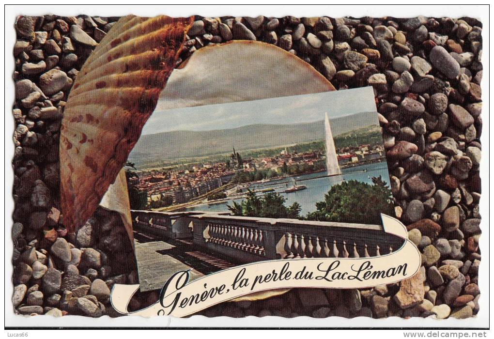 1962 GENEVE LA RADE DEPUIS COLOGNY - Cologny