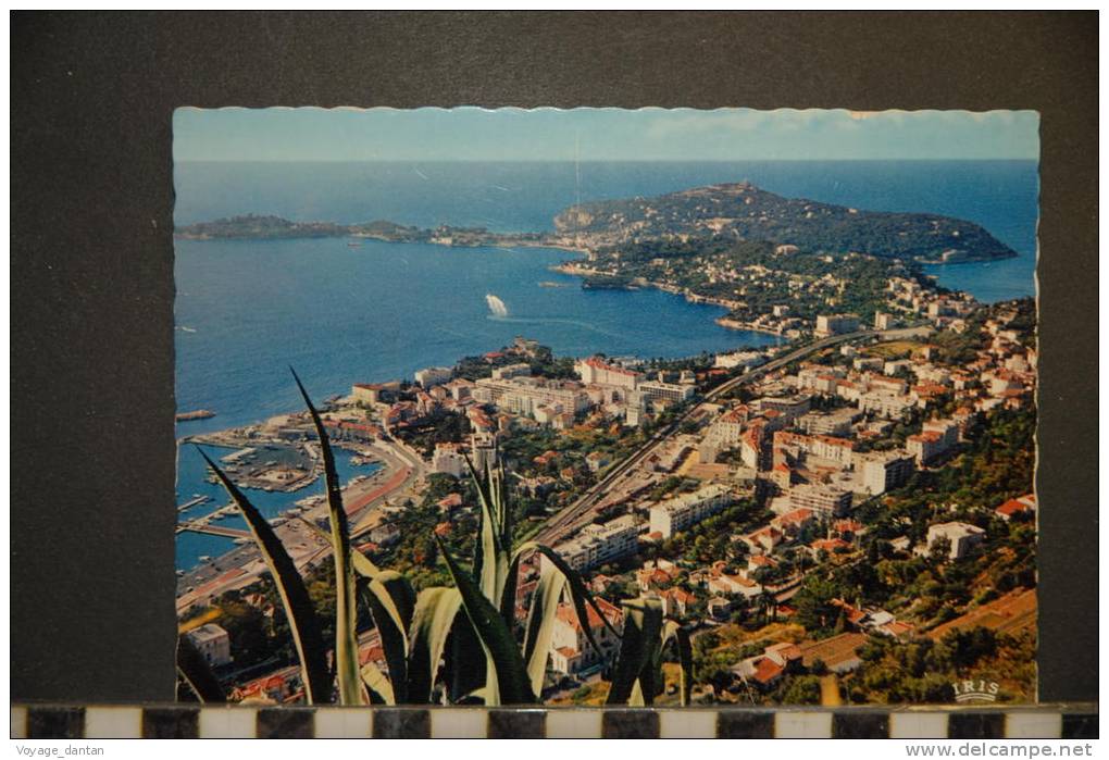 CP, 06, Beaulieu Sur Mer Et St Jean Cap Ferrat - Beaulieu-sur-Mer