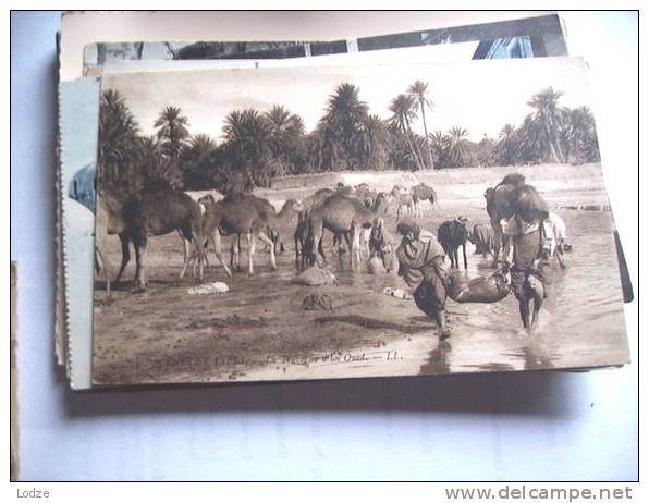 Afrika Africa Scenes Et Types Traversée D' Un Oued - Zonder Classificatie