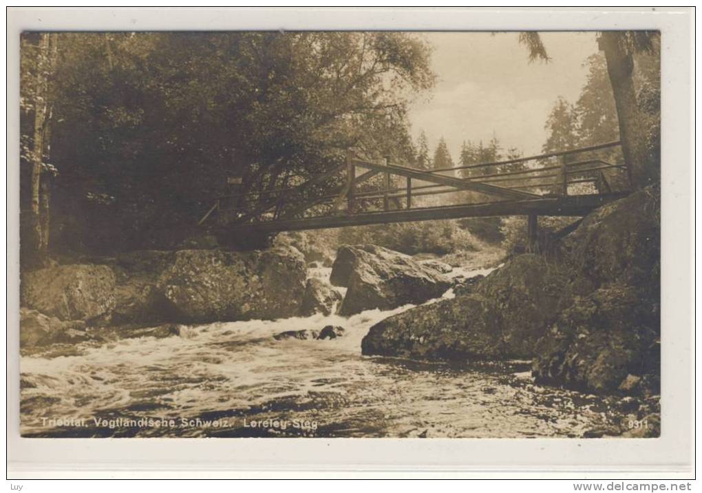 TRIEBTAL  - Vogtländische Schweiz - Loreley Steg , Gelaufen 1928 - Vogtland