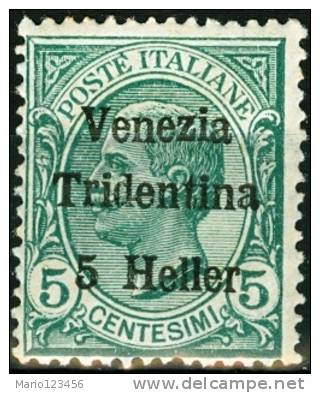 ITALIA, ITALY, TERRE REDENTE, TRENTINO-ALTO ADIGE, 1919, FRANCOBOLLO NUOVO (MLH*), Mi 27, YT 28, Sg 28, Un 28 - Trento