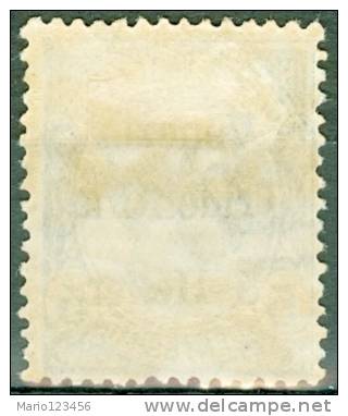 ITALIA, ITALY, TERRE REDENTE, TRENTINO-ALTO ADIGE, 1919, FRANCOBOLLO NUOVO (MLH*), Mi 27, YT 28, Sg 28, Un 28 - Trentin