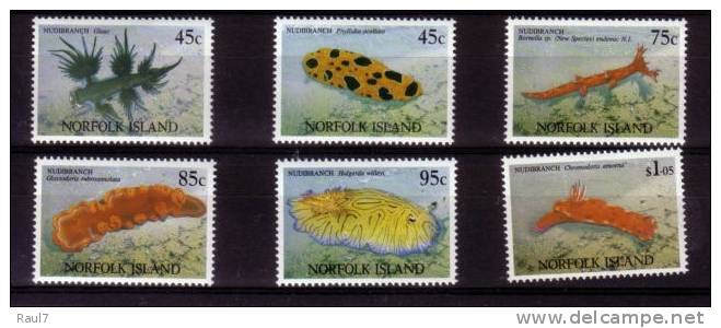 NORFOLK - 1993 - Faune Marine, Nudibranches - 6v Neufs *** // Mnh - Isola Norfolk