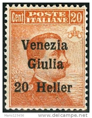 ITALIA, ITALY, TERRE REDENTE, VENEZIA GIULIA, 1919, FRANCOBOLLO NUOVO (MNH**), Mi 31, YT 31, Un 31 - Venezia Giulia