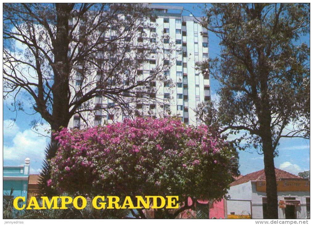 CAMPO GRANDE  * - Campo Grande