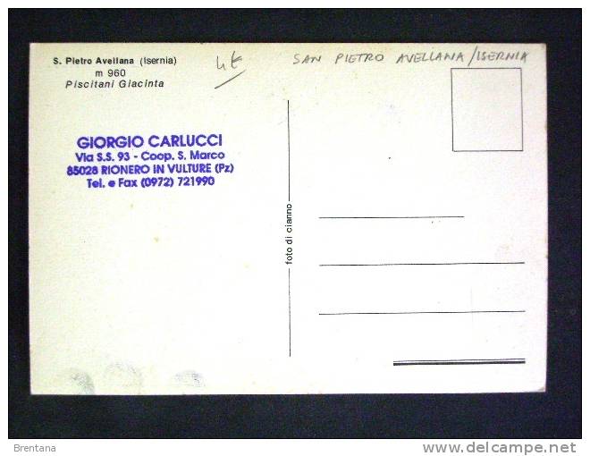 MOLISE -ISERNIA -SAN PIETRO AVELLANA -F.G. LOTTO N°252 - Isernia