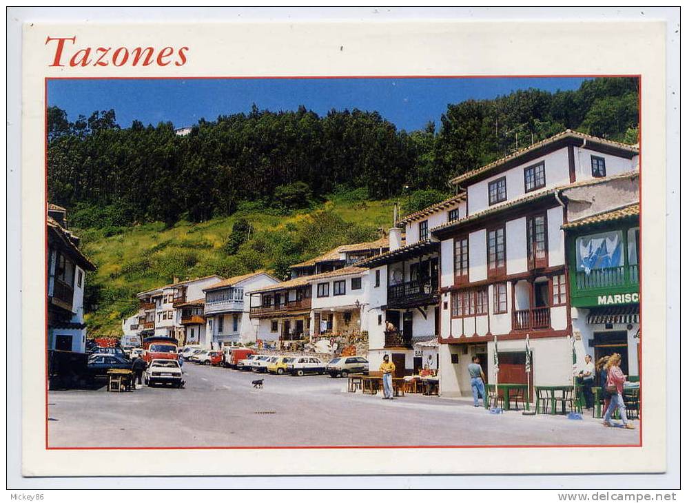 Espagne--près Villaviciosa--TAZONES--ru E Principale (animée,voitures),cpm N°1209  éd Paris 2 - Asturias (Oviedo)