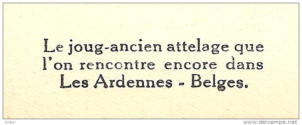 Le Joug Ancien Attelage Ardennes Belges - Attelages