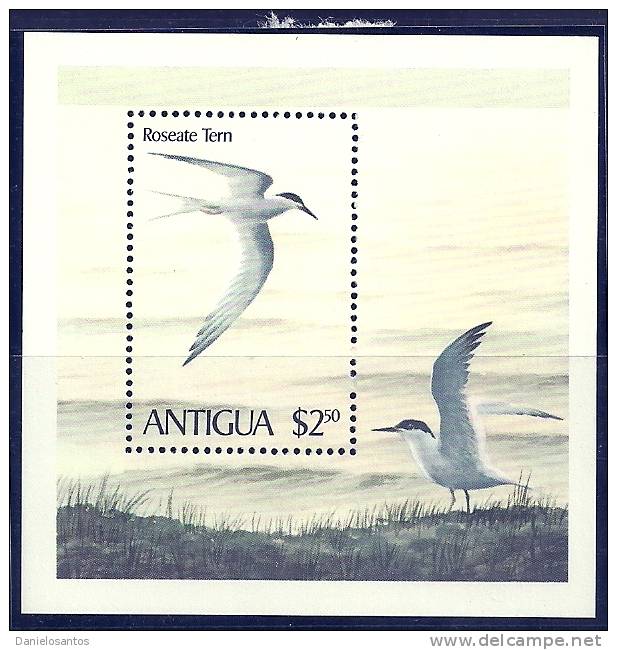 Antigua 1980 Birds Aves Oiseaux  Vogels Roseate Tern MLH - Albatro & Uccelli Marini